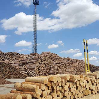 FSC Wood for BetonWood