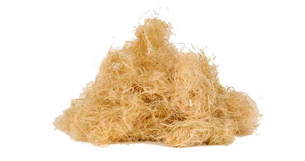 Fibertherm Canawool loose hemp fibers